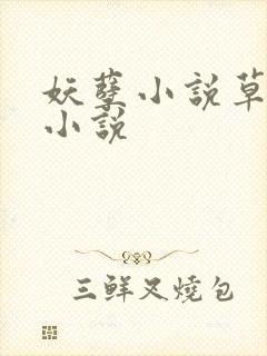 妖孽小说草莓酱小说