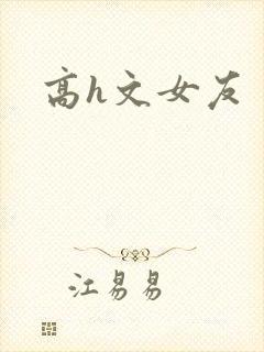 高h文女友封面