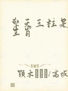 擎天玉柱是什么生肖