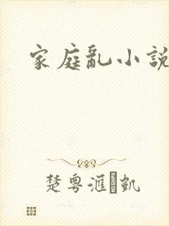 家庭乱小说