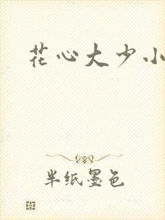 花心大少小说封面