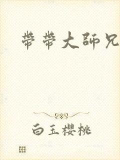 带带大师兄封面