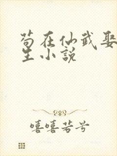 苟在仙武娶妻长生小说封面