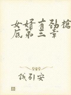 女婿有劲枪枪到底第三章