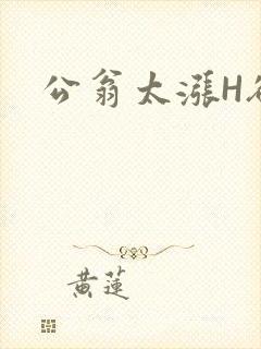 公翁太涨H欲渴