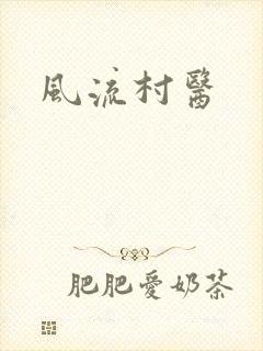风流村医封面