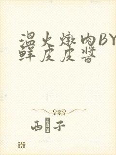 温火炖肉BY海鲜皮皮酱