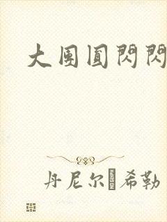 大团圆闪闪发光封面