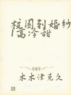 校园到婚纱1V1高冷甜封面