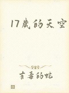 17岁的天空