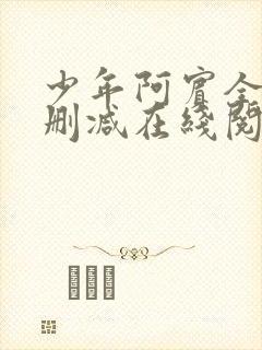 少年阿宾全文无删减在线阅读