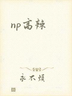 np高辣