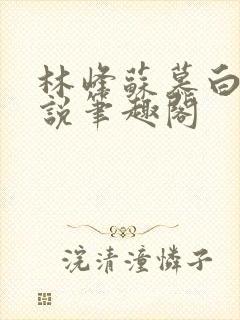 林峰苏慕白的小说笔趣阁封面