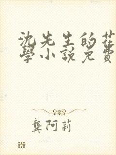 沈先生的花式教学小说免费