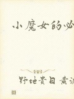 小魔女的必杀技