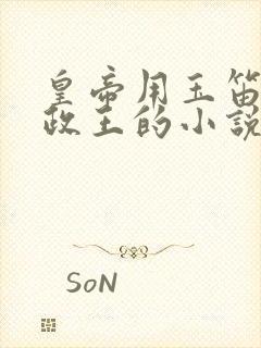 皇帝用玉笛整摄政王的小说