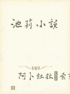 池莉小说