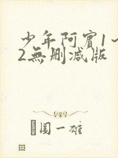 少年阿宾1～72无删减版