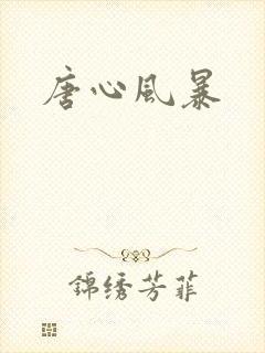 唐心风暴