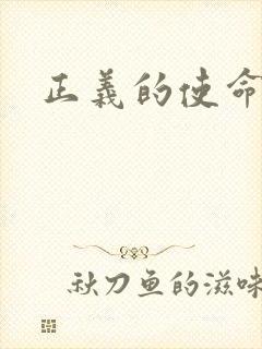 正义的使命小说