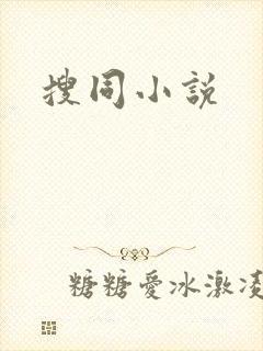 搜同小说