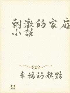 刺激的家庭乱仑小说