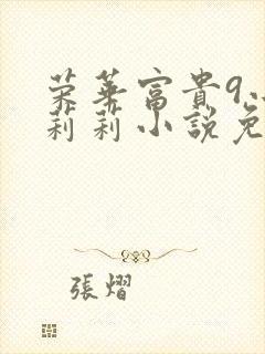 荣华富贵9小王莉莉小说免费阅读