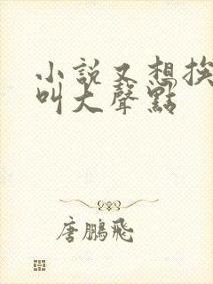 小说又想挨C了叫大声点封面