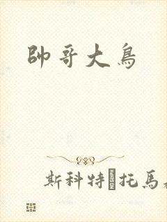 帅哥大鸟