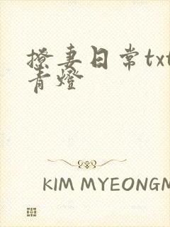 撩妻日常txt青灯