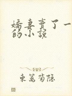 娇妻卖了一次淫的小说封面