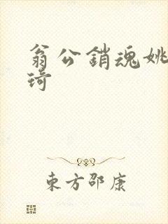 翁公销魂姚瑶琦琦封面