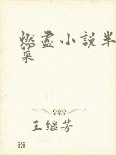 燃尽小说半截白菜