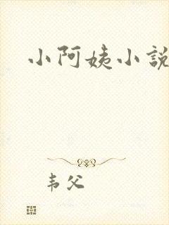小阿姨小说