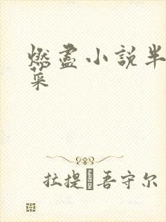 燃尽小说半截白菜