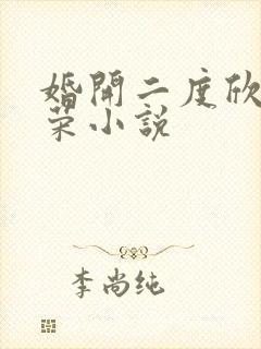 婚开二度欣欣向荣小说