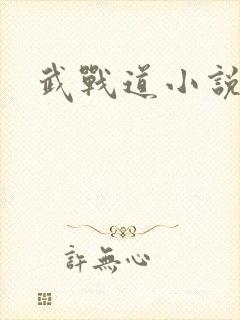 武战道小说