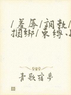 /羞辱/调教/捆绑/束缚小说