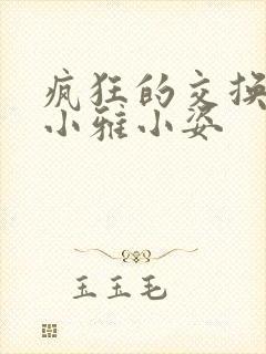 疯狂的交换小静小雅小姿
