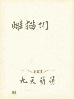 雌猫们封面