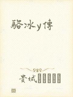 骆冰y传封面