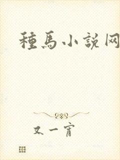 种马小说网