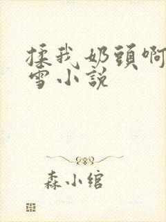 揉我奶头啊嗯小雪小说封面