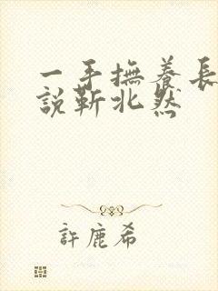 一手抚养长大小说靳北然封面