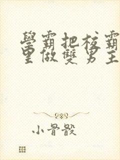 学霸把校霸往死里做双男主车