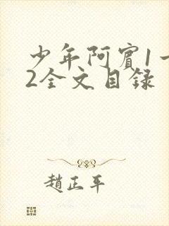 少年阿宾1一72全文目录