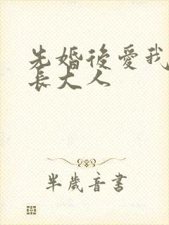 先婚后爱我的市长大人