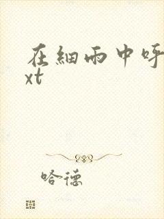 在细雨中呼喊txt