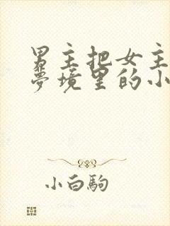 男主把女主拖进梦境里的小说