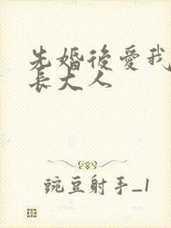 先婚后爱我的市长大人